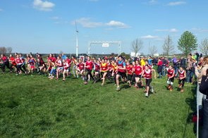 开云体育下载官网-世界青少年滑板锦标赛吸引众多新锐少年，2021青少年滑板锦标赛